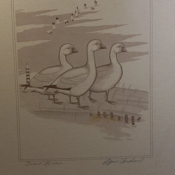Vintage American Waterfowl Etching/Print Lynn Forehand 1of 5 Cottagecore Kitsch - Picture 1 of 8